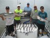 (05/11/2014) - Nice Striped Bass